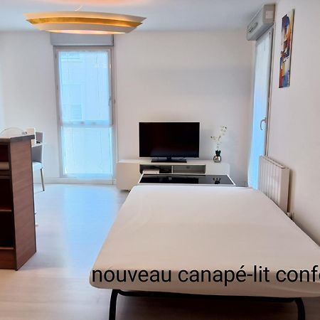 Ravissant Appartement T2 Proche Autoroute Et Centre-Ville Villefranche-sur-Saone Ngoại thất bức ảnh