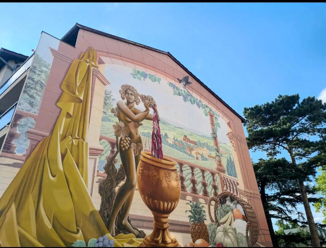 Ravissant Appartement T2 Proche Autoroute Et Centre-Ville Villefranche-sur-Saone Ngoại thất bức ảnh