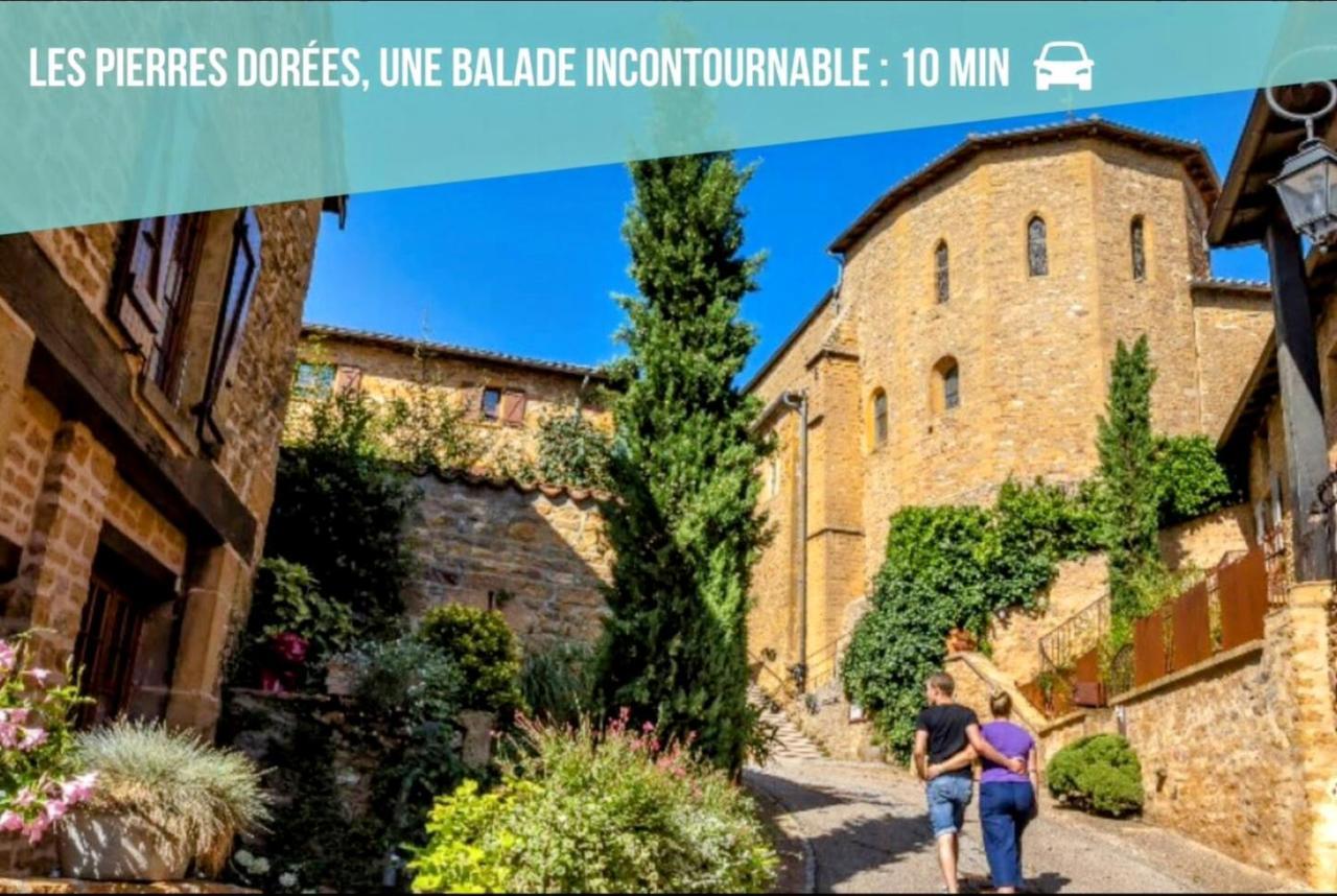 Ravissant Appartement T2 Proche Autoroute Et Centre-Ville Villefranche-sur-Saone Ngoại thất bức ảnh