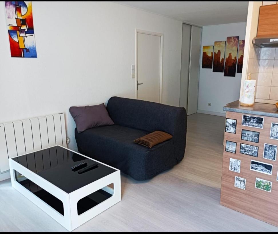 Ravissant Appartement T2 Proche Autoroute Et Centre-Ville Villefranche-sur-Saone Ngoại thất bức ảnh